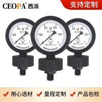 上海百川表盘直径60mm Y60 径向安装 内螺纹4分 压力范围0-10kg/cm²