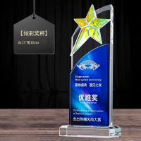 定制奖杯 年度之星 小号/均号 95款一个