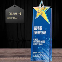 定制奖杯 服务之星 小号/均号 75款一个
