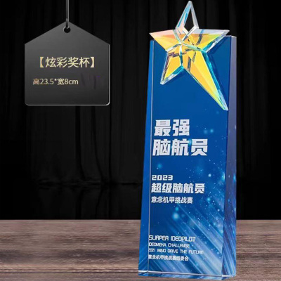 定制奖杯 服务之星 小号/均号 75款一个