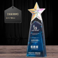 定制奖杯 安全之星 小号/均号 91款一个