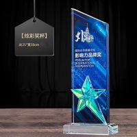 定制奖杯 精益之星 小号/均号 80款一个