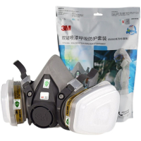 3M 防毒面具 喷漆专用呼吸防护面罩6200