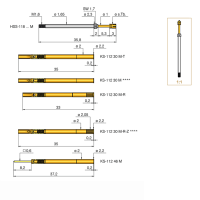 LANZAN 探针 HSS 827 306 200A 1502M