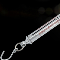 NeNGM 管形测力计 LTZ-30