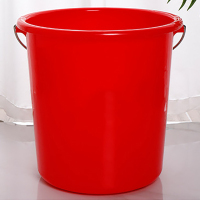 同祥(TONGXIANG)家用塑料水桶 21升