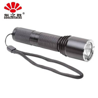 东之胜(DONGZHISHENG)强光手电筒 NIB8201