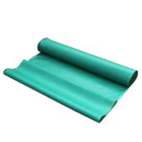 天诺 防护漆布 1m*40m/卷