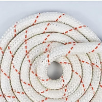 耀为(YAOWEI)工具尼龙绳 钢丝芯加粗多功能耐磨绳子长5m,直径20mm