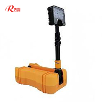 典润(DIAN RUN)LED轻便移动灯DJ-111C