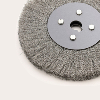 兰赞(LANZAN)钢丝轮100mm