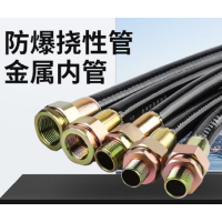 爱迪普森(IDEAPOST) 防爆软管+转接头挠性接头接线穿线管内外丝500MM