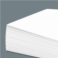 得力(deli) 打印纸类 A3 100张/包