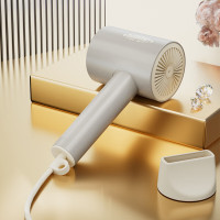 杜邦(DUPONT) 恒温电吹风 PCH-KY8001