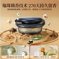 倍思BASEUS太阳能车载香薰C20363000111-00