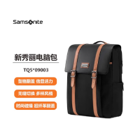 新秀丽(samsonite)TQ5*09003双肩包