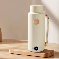 联创(Lian) 电热水壶 DF-EP0359M