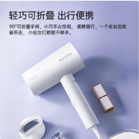 飞科 (FLYCO)电吹风FH6276