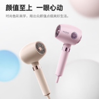 飞科 (FLYCO)电吹风FH6369