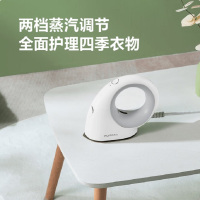 飞科(FLYCO)电熨斗FI9325