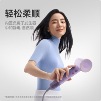 徕芬高速吹风机SE 颜色随机