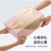 徕芬高速吹风机LF03 (粉金礼盒款)