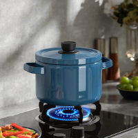 德世朗(DESLON) 珐琅多用高汤锅DFS-T941A-BU蓝色