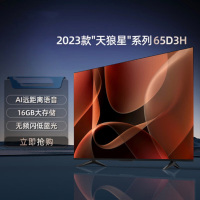 海信电视 65D3H 天狼星系列 65英寸 超薄全面屏 AI远场语音 16GB大储存 无频闪低蓝光 DTS音效