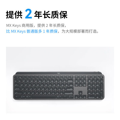 罗技(Logitech)大师系列 MX Keys Mac 无线蓝牙键盘 高性能超薄