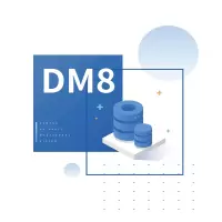 达梦数据库管理系统企业版[简称:DM]V8.1.1