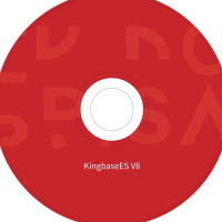 金仓数据库(KingbaseES)管理系统V8.0.1 军用版(1年服务)