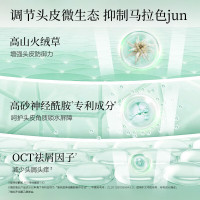 阿道夫洗发水520ml 控油蓬松去屑洗头膏精油香氛洗发香乳露留香男士女士 净屑舒爽洗发水520ml 精油留香