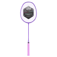 何大屋紫金之巅羽毛球拍(单拍)HDW1316