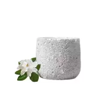 宋朝312-SC宋朝冷山香熏蜡烛系列-1[蜡烛--栀子花开]