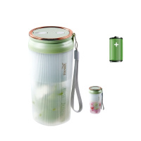 新飞便捷式果汁机FTZZ-D308