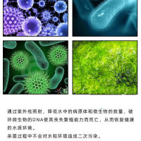 雄狮怪泳池紫外线消毒器水处理设备管道式消毒 过流式污水杀菌灯灭菌仪