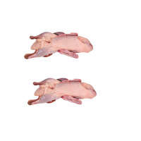 蛋鲜森 优选坚果大礼包 非油炸低脂健康美味零食 天然原味锁鲜脆香