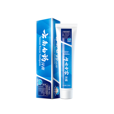 云南白药(YUNNAN BAIYAO)牙膏留兰香型 175g 单支装