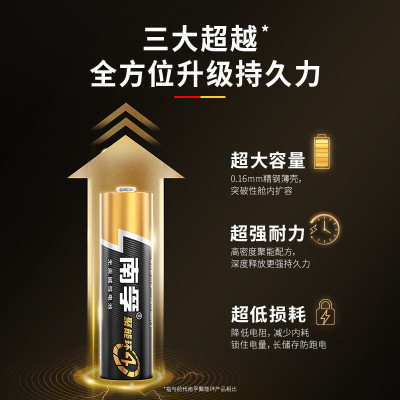 南孚 (NANFU) 5号碱性电池 2粒/卡 单卡装