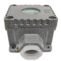 网阁多频谱火点探测装置 DT-PHD