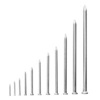 艺森铁钉木工钉子 洋钉小铁钉 2寸50mm 500g单位:包