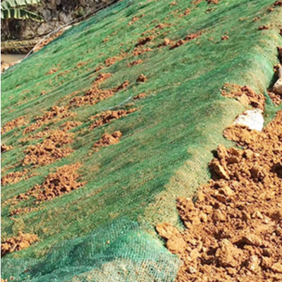 [三维土工网垫]多规格三维土工网垫 三维植被网护坡绿化防护重定制(单位:米)