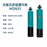 内装式多级潜水泵 WQNX50-80-22KW 三相五线 380v 单位/台