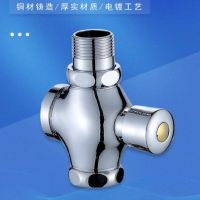 自闭式冲洗阀 DN15 单位/个