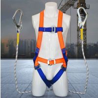 安全带 全身式 单位/条