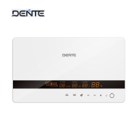 德恩特(Dente) DTR/RXH 12000W 变频恒温 电热水器 (计价单位:台) 白色
