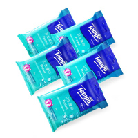 得宝(TEMPO) 卫生洁肤 12片/包 5包/提 卫生 湿巾 (计价单位:提)