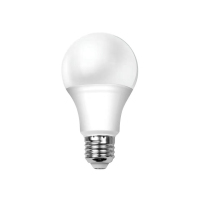 海洋王 30W 6500K 4个/箱 LED灯泡 4.00 个/箱 (计价单位:箱) 白色