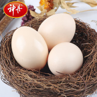 神丹 可生食鸡蛋 无抗生素鲜鸡蛋礼盒 谷物饲养鸡蛋30枚礼盒