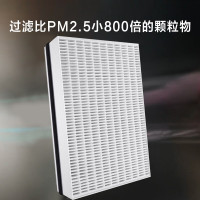 飞利浦(PHILIPS)空气净化器过滤网滤芯 两片装配 旗舰滤网FY6177